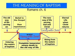 Baptism chart