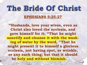 Ephesians 5:25-27